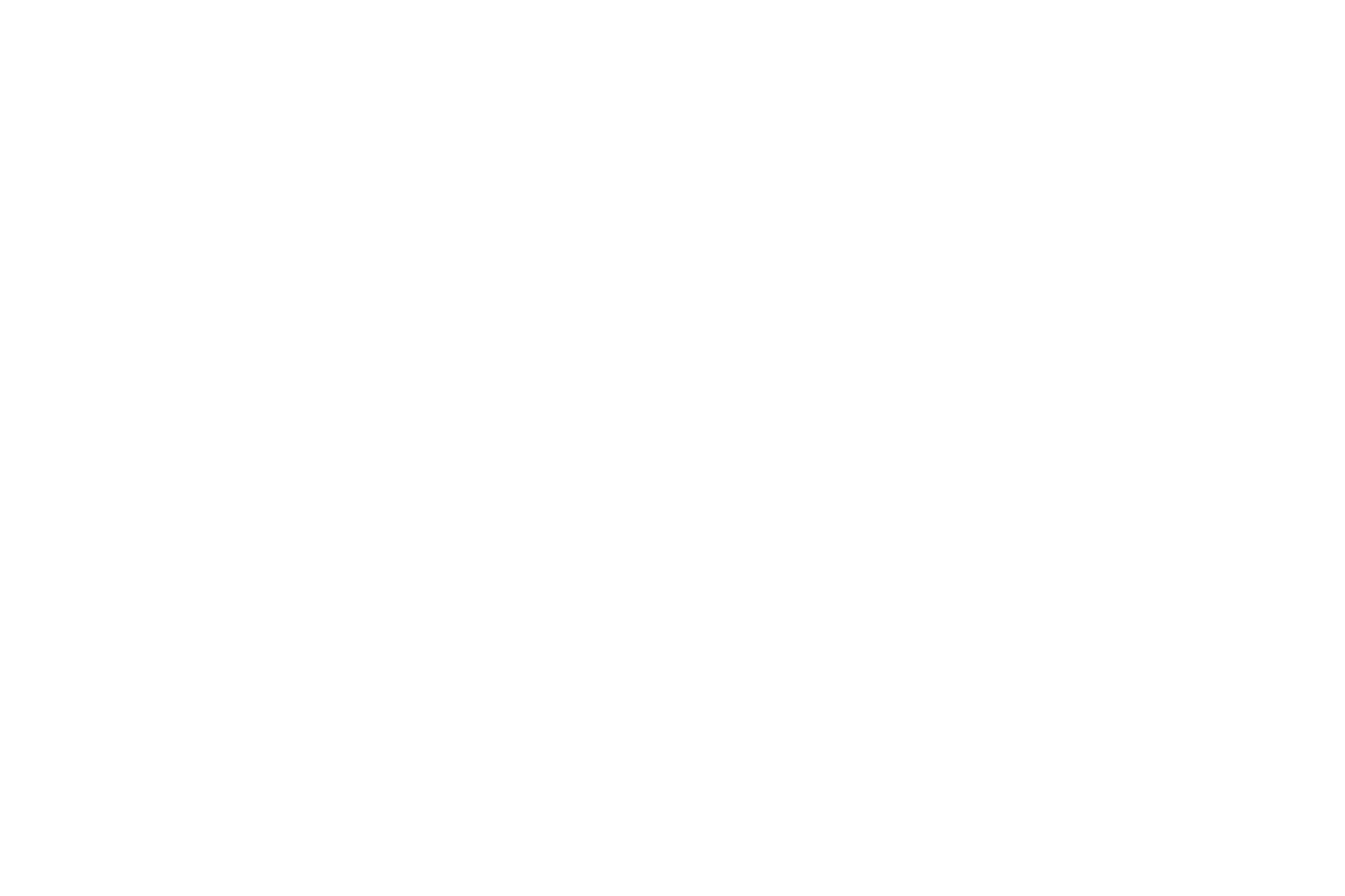LAFI Logo